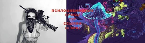 бошки Карталы