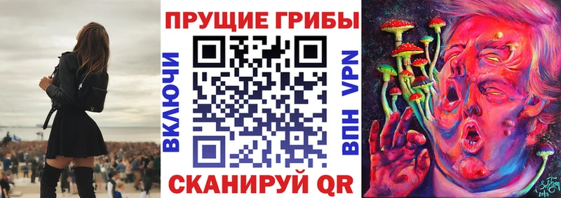 Купить  Туринск  Галлюциногенные грибы мицелий 