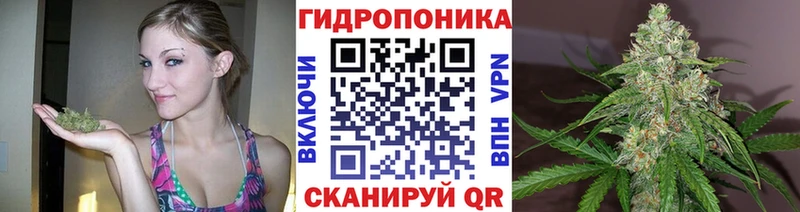 Купить  Туринск  Конопля Ganja 